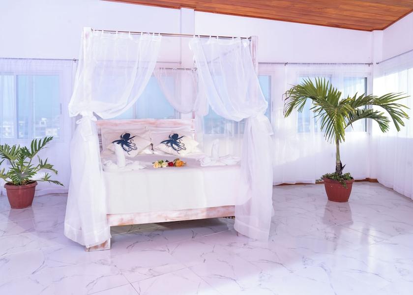 Galapagos Puerto Ayora Room