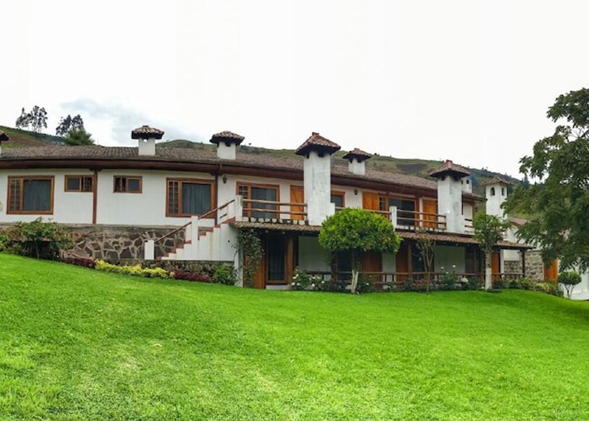 Tungurahua Patate Primary image
