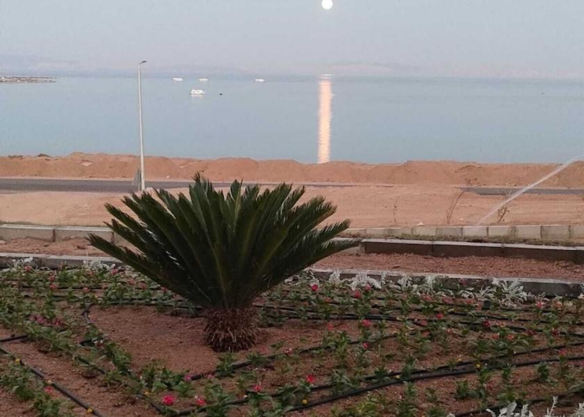 South Sinai Governate Dahab Exterior Detail