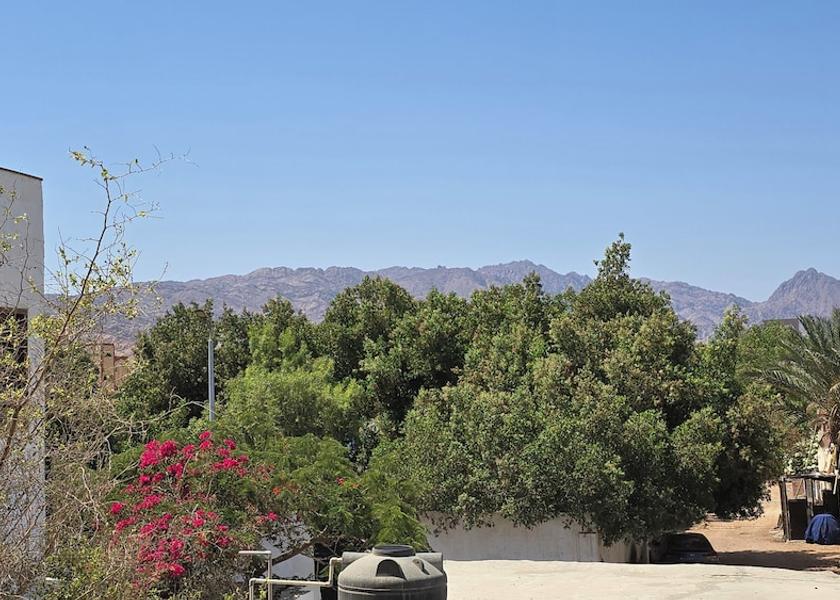 South Sinai Governorate Dahab View from room