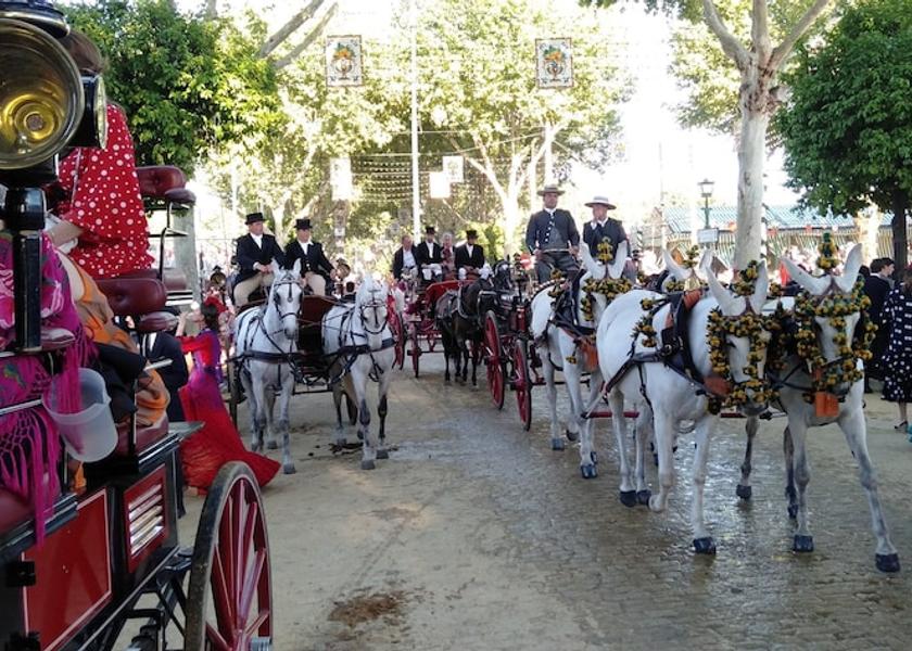 Andalusia Vejer de la Frontera Horse Riding