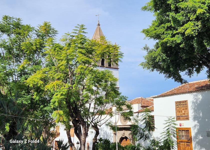 Canary Islands Icod de los Vinos Point of interest