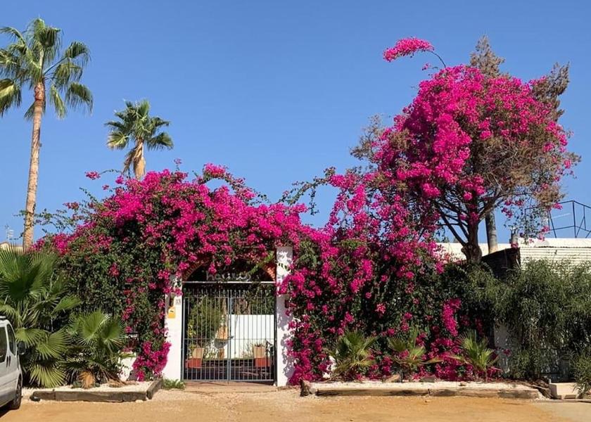 Andalusia Pulpi Exterior Detail