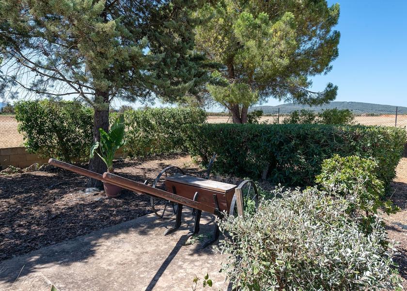 Balearic Islands Sencelles Room