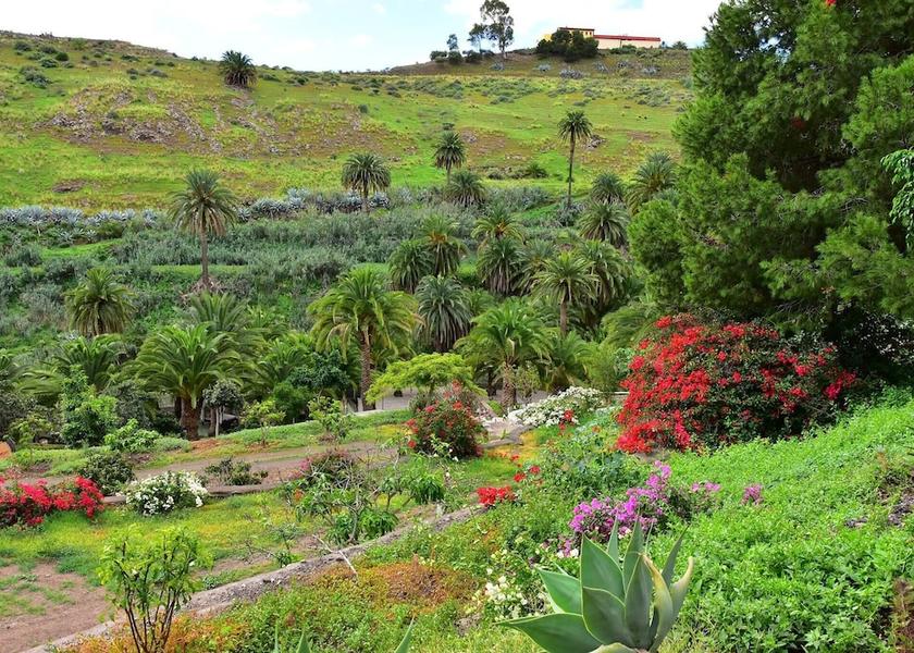 Canary Islands Telde Property Grounds