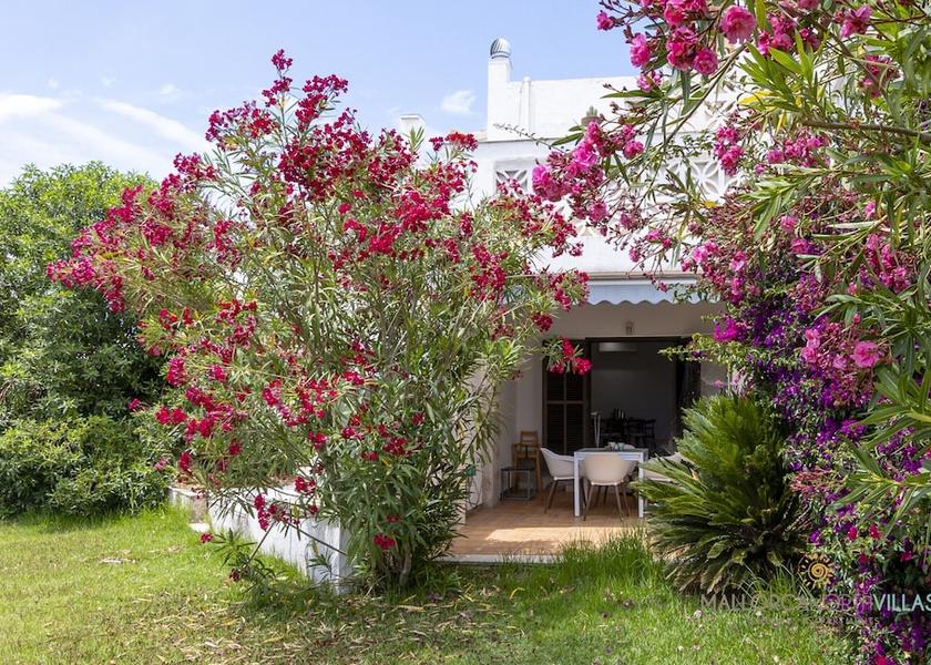 Balearic Islands Pollensa Garden