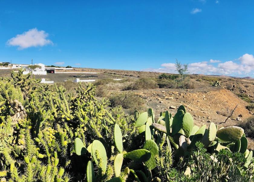 Canary Islands Teguise Exterior Detail