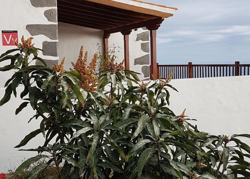 Canary Islands Fuencaliente de la Palma Exterior Detail