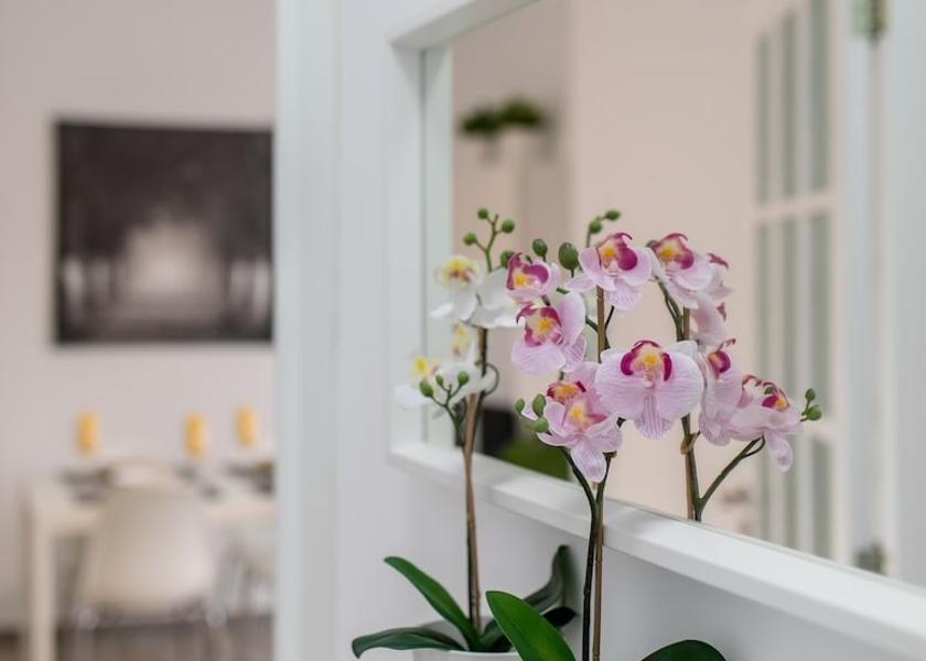 Canary Islands Santa Cruz de Tenerife Living Area