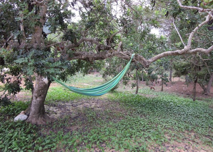 Balearic Islands Sant Josep de sa Talaia Garden