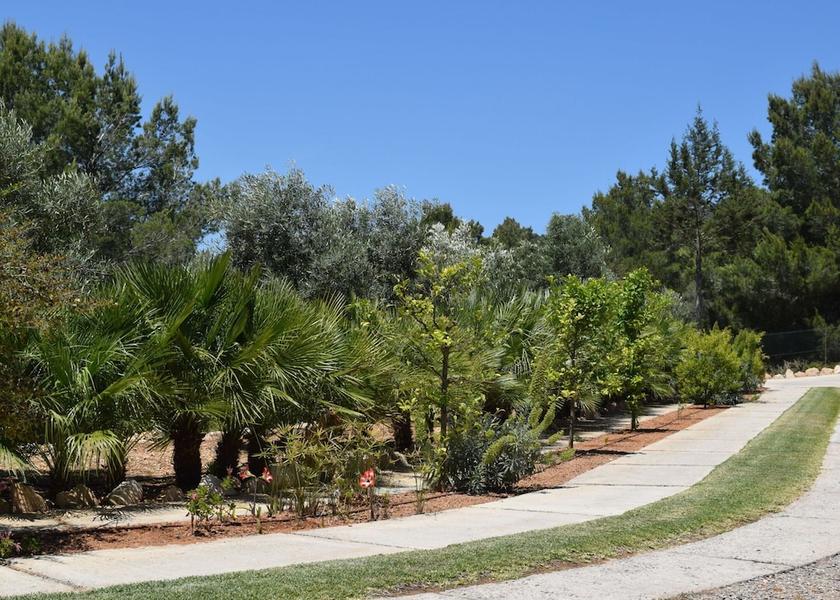Balearic Islands Sant Josep de sa Talaia Garden