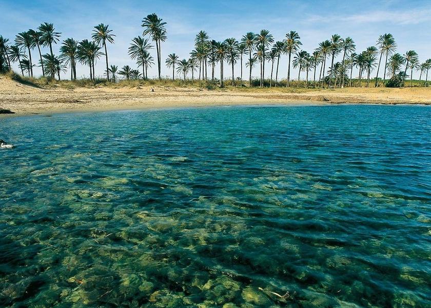 Valencian Community San Miguel de Salinas View from Property