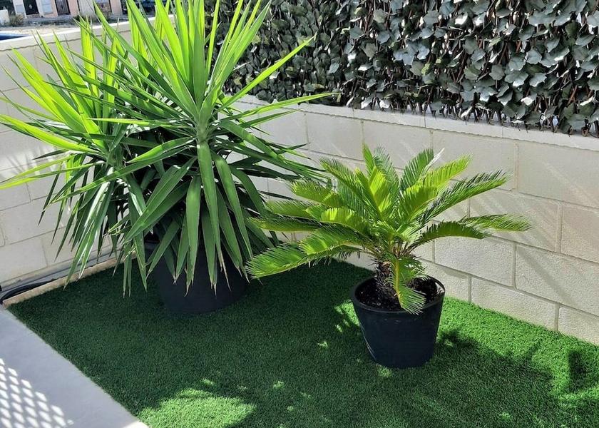 Valencian Community Orihuela Exterior Detail