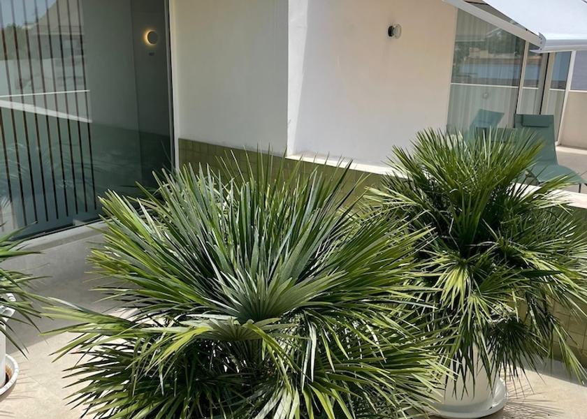 Valencian Community Sagunto Exterior