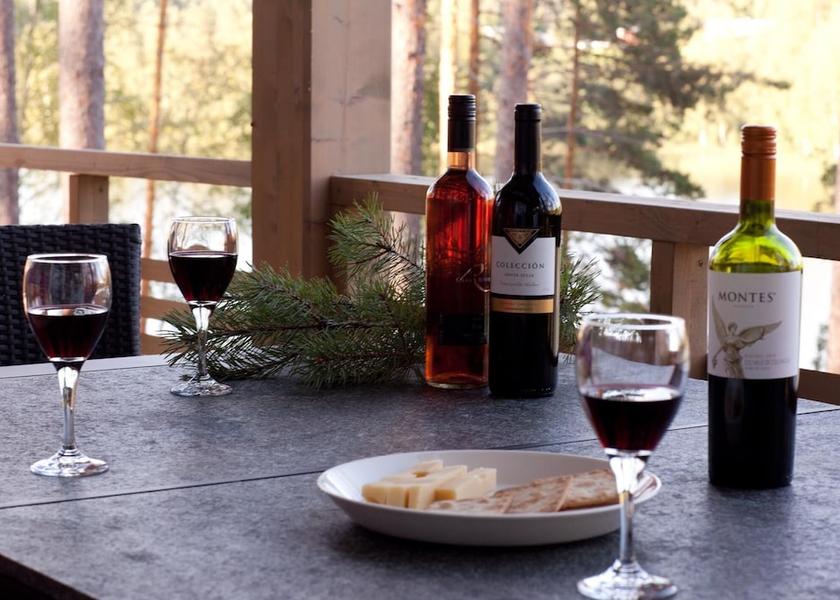 Eastern Finland Mikkeli Terrace