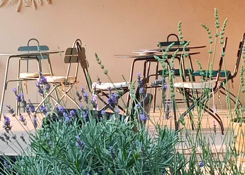 Provence - Alpes - Cote d'Azur Saint-Didier Breakfast Area