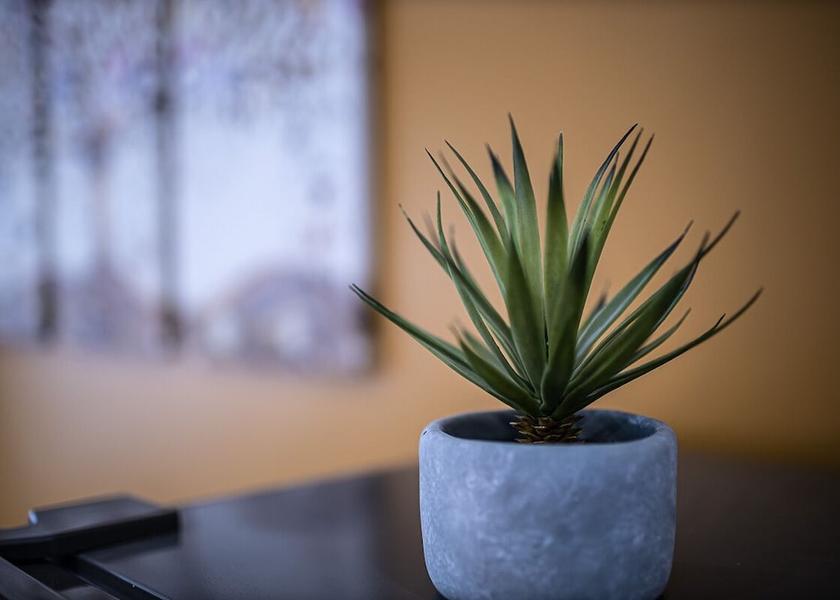 Ile-de-France Gentilly Living Area