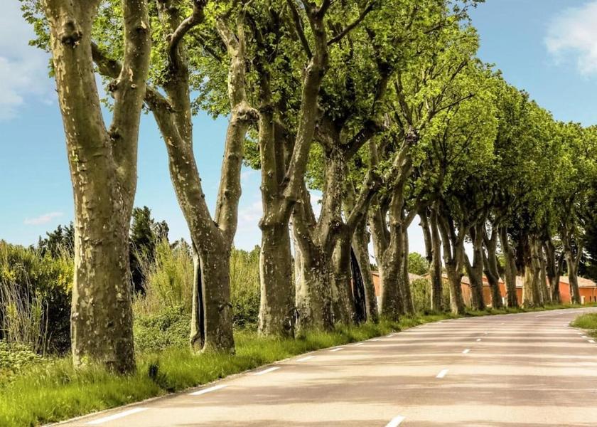 Provence - Alpes - Cote d'Azur Vidauban View from Property