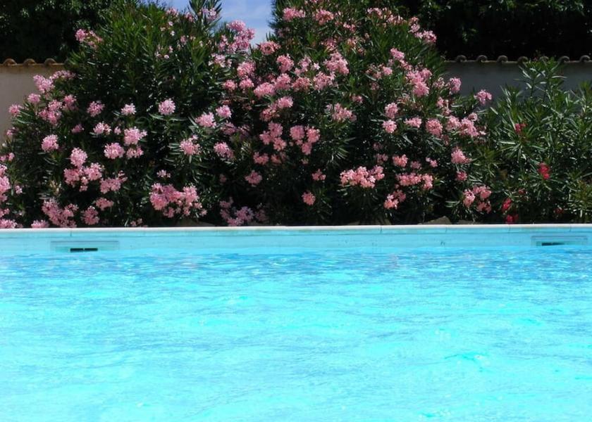 Provence-Alpes-Côte d'Azur L'Isle-sur-la-Sorgue Pool
