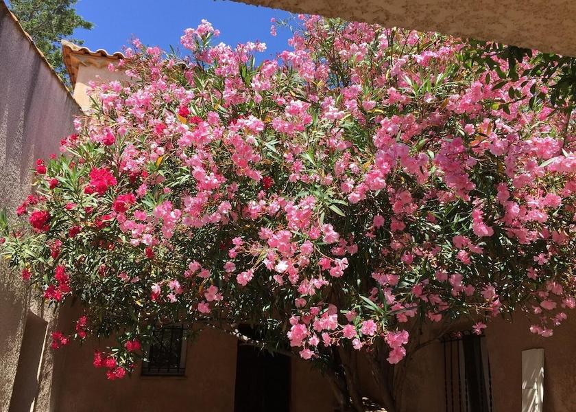 Occitanie Frontignan Exterior Detail