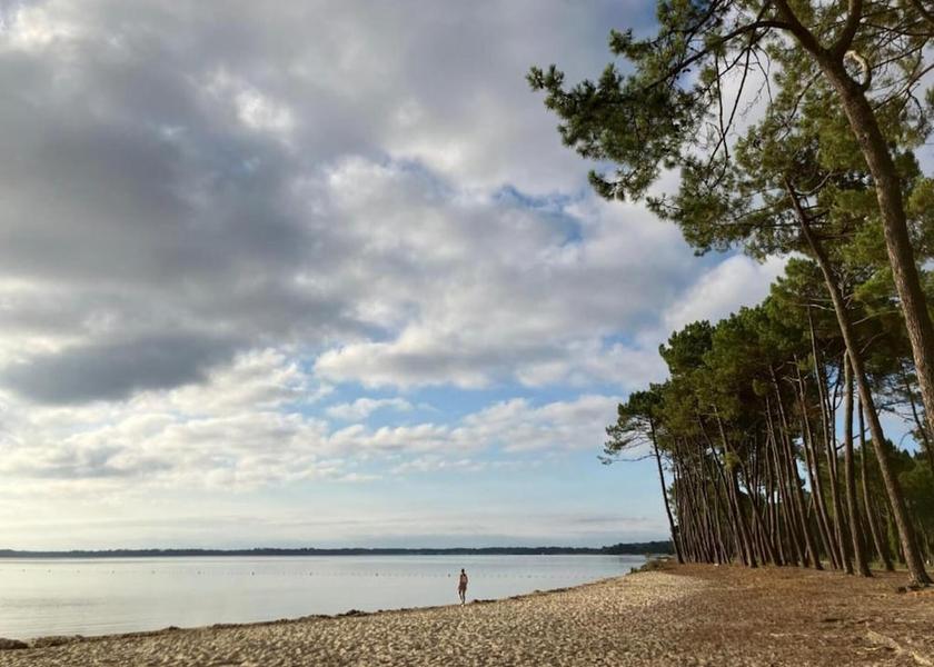 Nouvelle-Aquitaine Biscarrosse View from Property