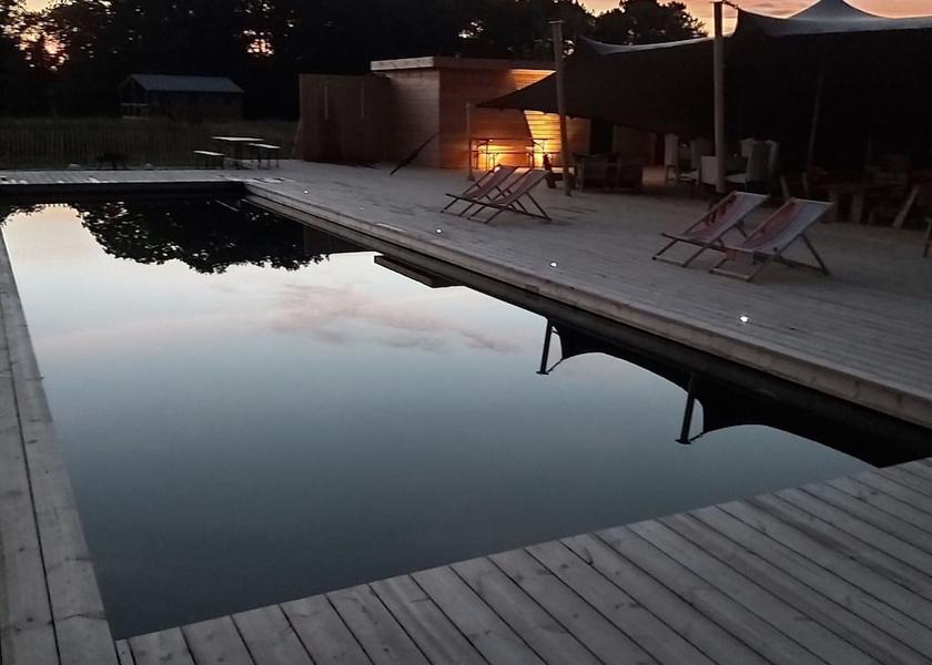 Brittany Ploemel Pool