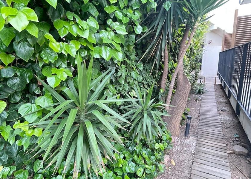 Corsica Lucciana Exterior Detail