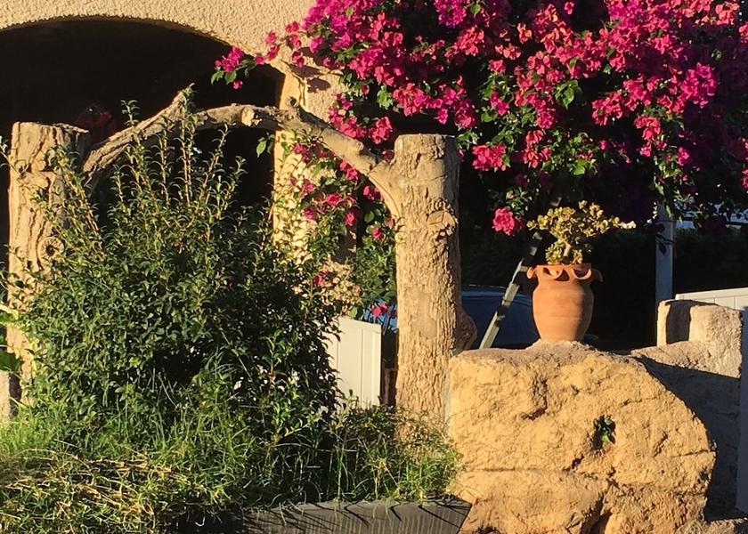 Corsica San-Nicolao View from Property