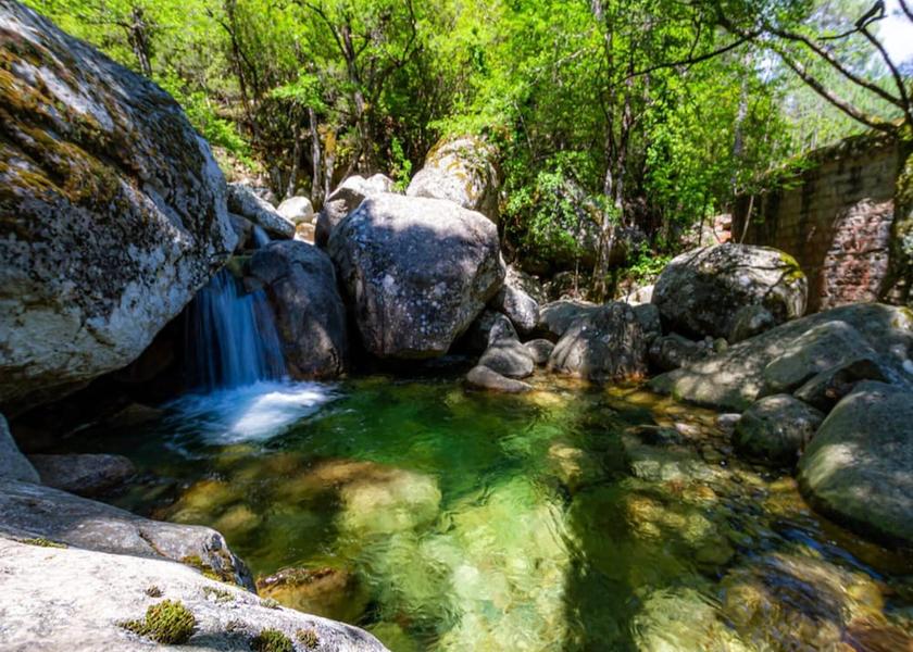 Corsica Sari-Solenzara Exterior Detail