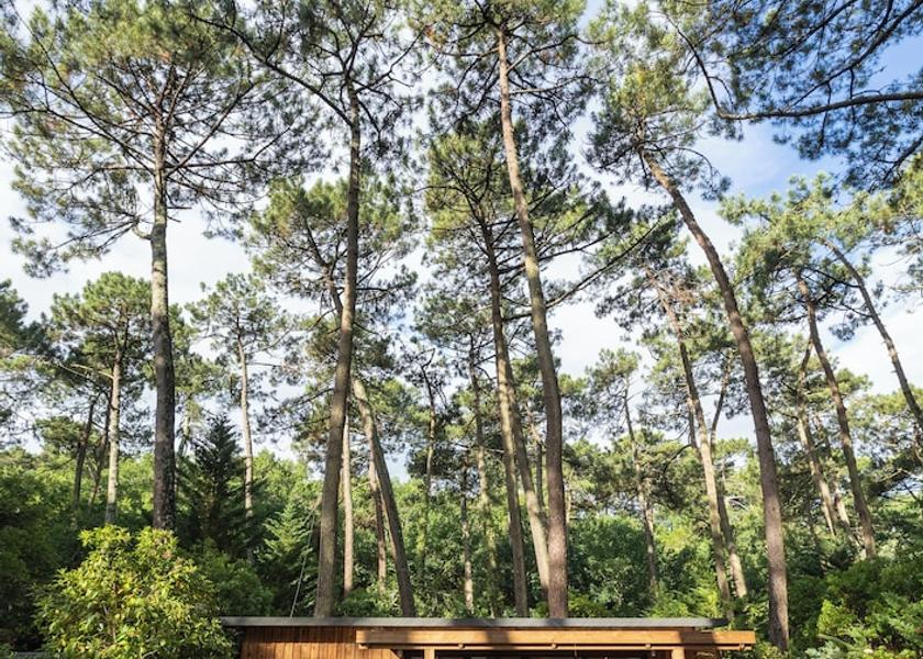 Nouvelle-Aquitaine Arcachon Room