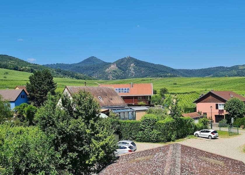Grand Est Hunawihr Vineyard View