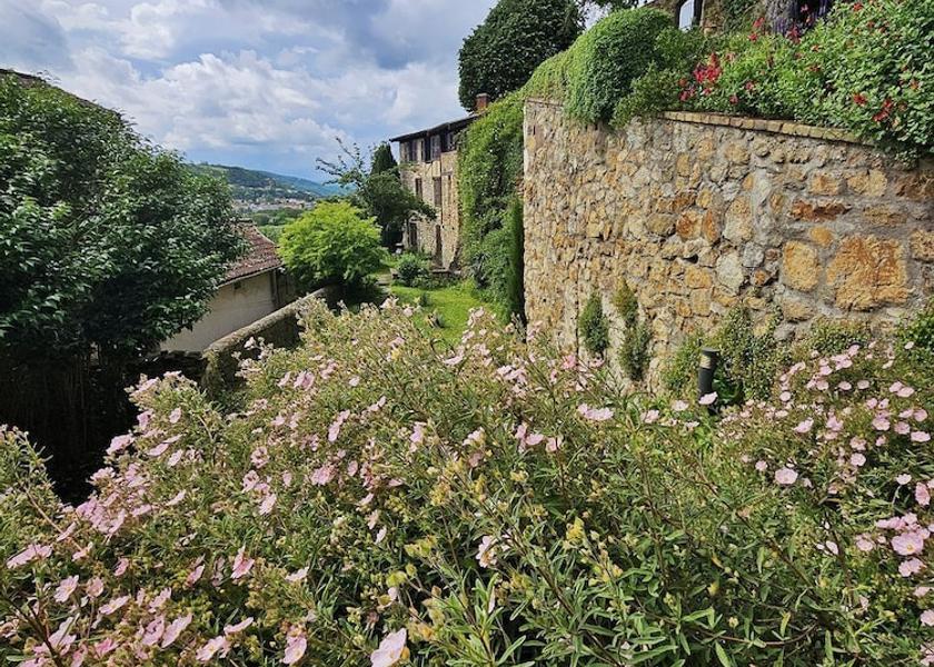 Auvergne-Rhone-Alpes Vienne Exterior Detail
