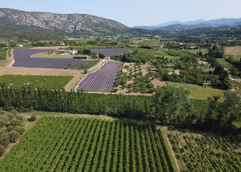 Provence-Alpes-Côte d'Azur Malaucene Exterior