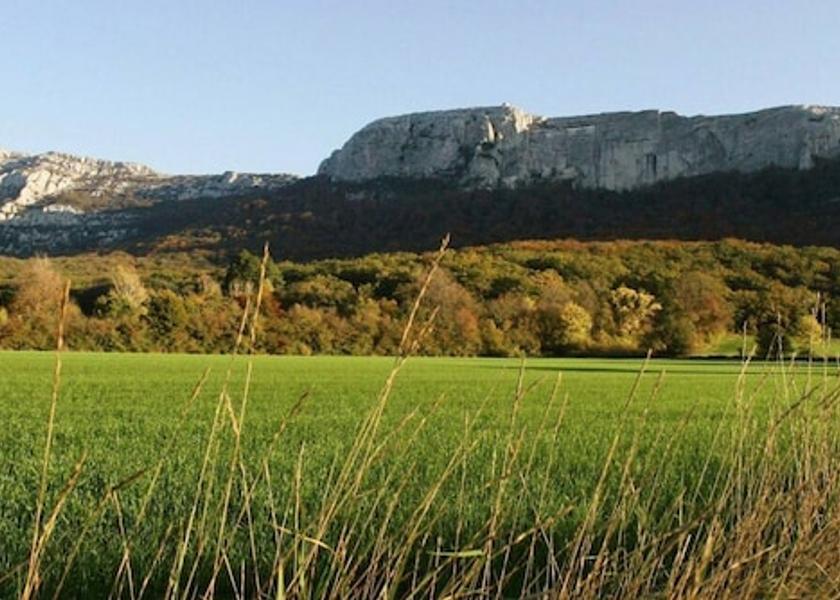 Provence - Alpes - Cote d'Azur Saint-Maximin-la-Sainte-Baume Exterior Detail