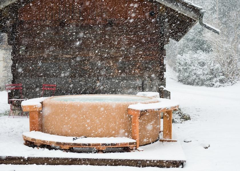 Auvergne-Rhone-Alpes Montriond Garden