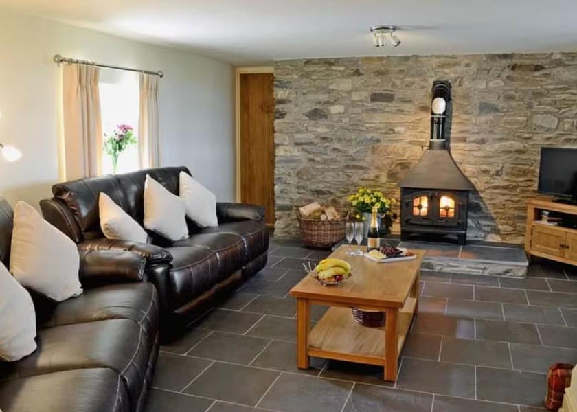 Wales Tregaron Living Area