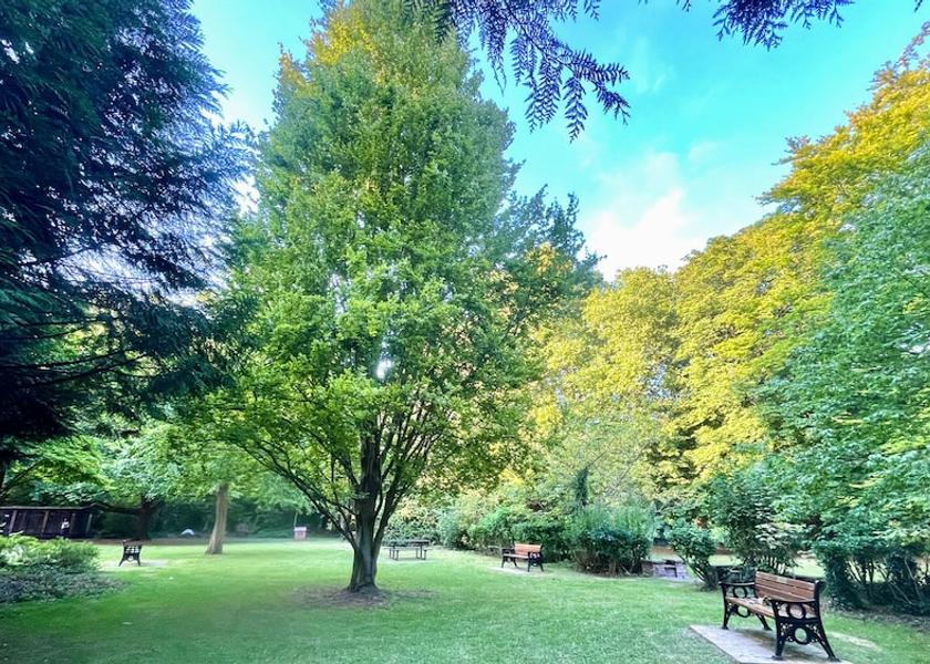 England Maidenhead Park View