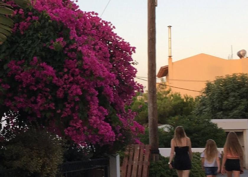 Crete Island Mylopotamos Property Grounds