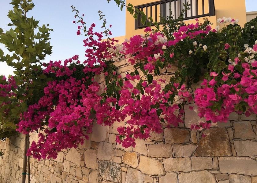 Crete Island Mylopotamos Property Grounds