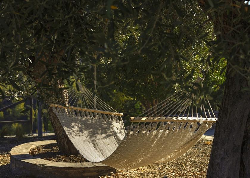 Eastern Macedonia and Thrace Sithonia Room