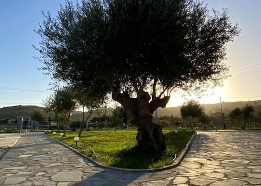 West Greece Pyrgos Exterior Detail