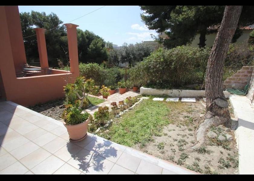 Attica Aegina Terrace