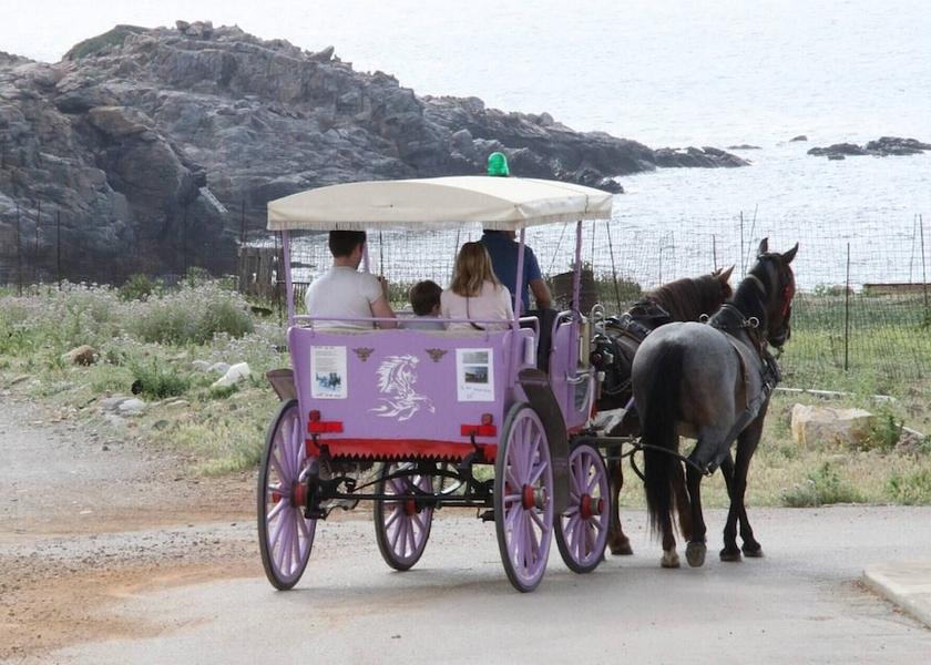 Crete Island Mylopotamos Amenity