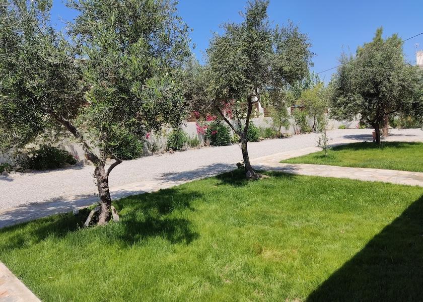 Crete Island Faistos Terrace