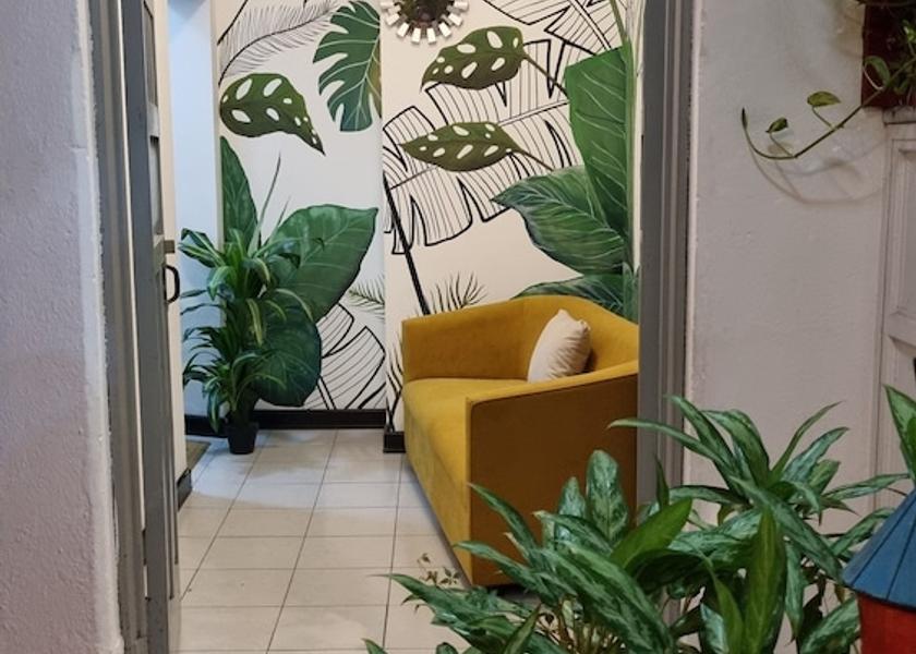 Peten Flores Reception