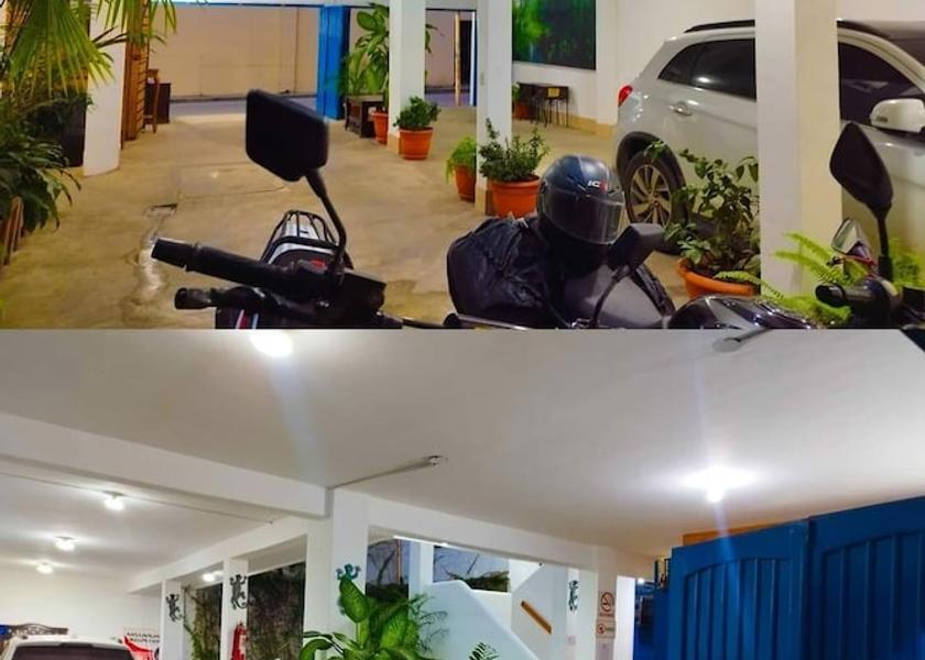 Peten Flores Reception