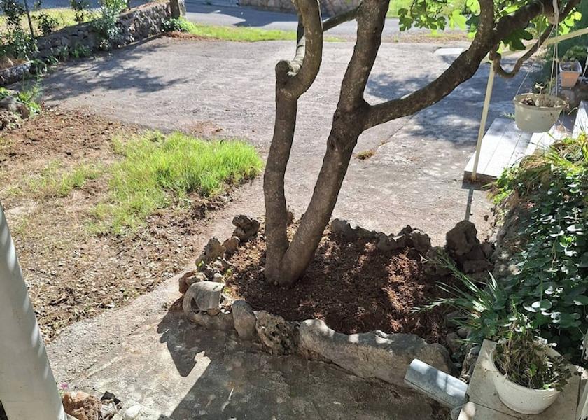 Zadar-Northern Dalmatia Starigrad Garden