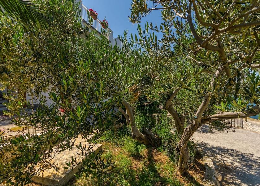 Split-Dalmatia Split Property Grounds
