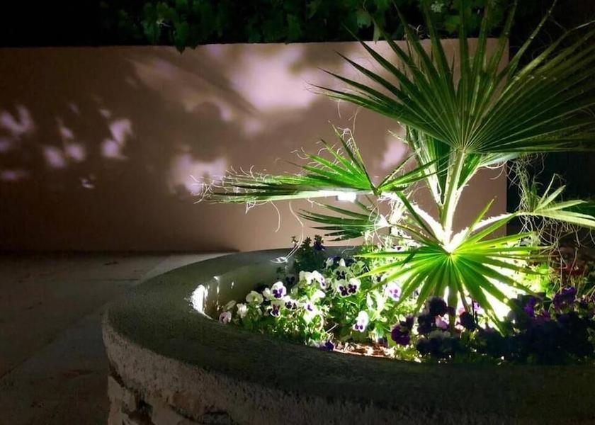 Zadar-Northern Dalmatia Preko Property Grounds