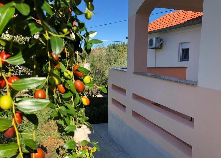 Zadar-Northern Dalmatia Preko Property Grounds